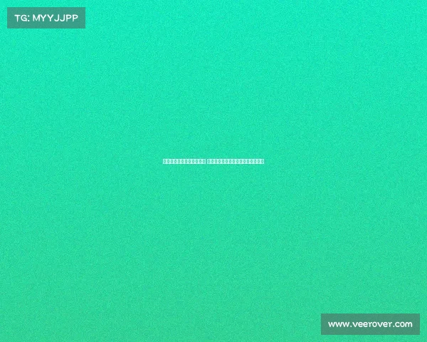 约维奇谈与约基奇共事经历 称与世界最佳球员搭档轻松学到很多